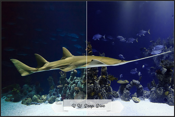 Underwater Fix Profiles for LR & ACR in Photoshop Plugins - product preview 6