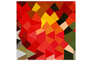Lava Red Abstract Low Polygon Backgr