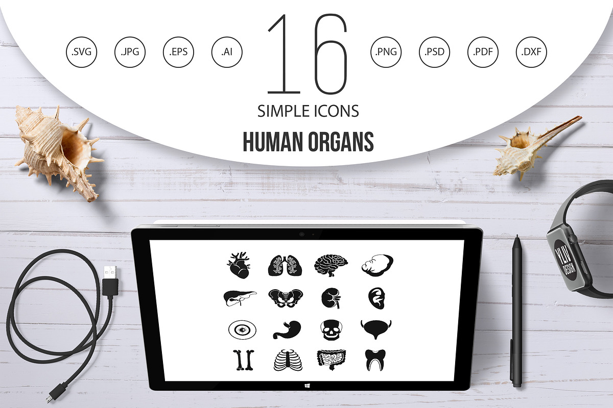 Human organs icons set, simple style in Graphics - product preview 8