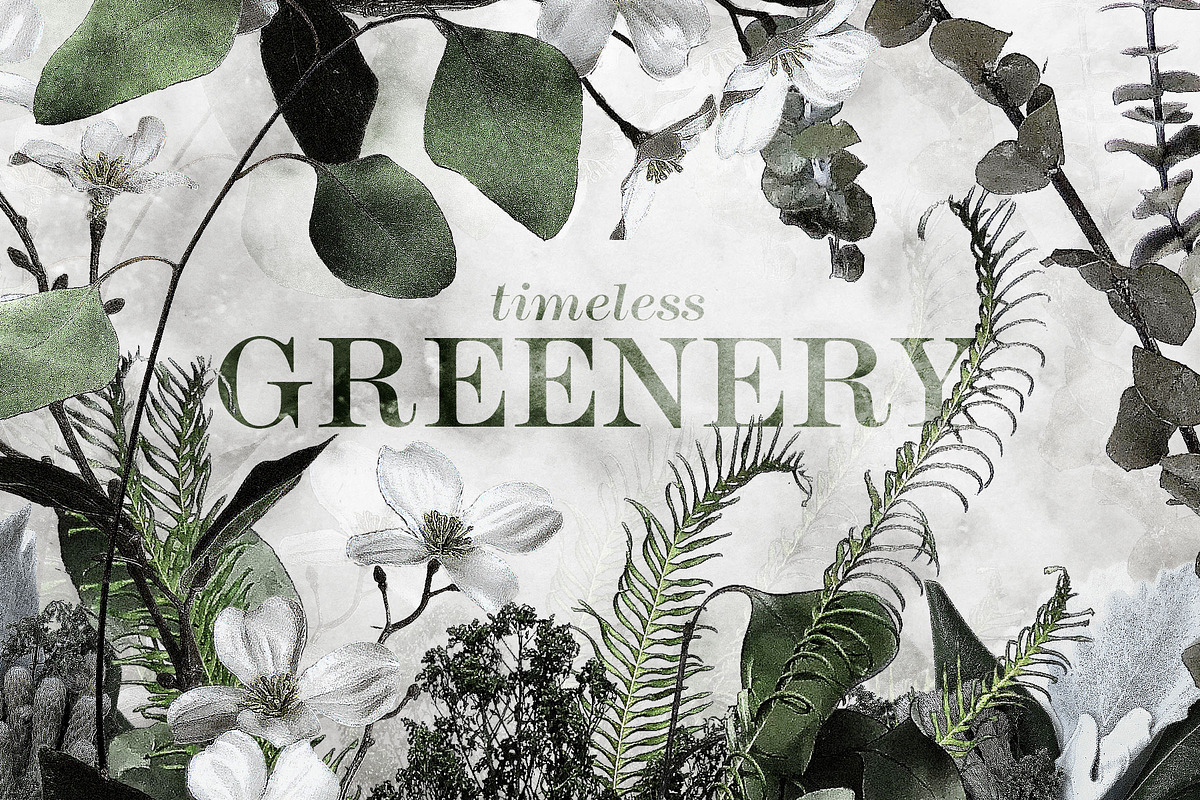 Timeless Greenery – Crafted Clip Art in Illustrations - product preview 8