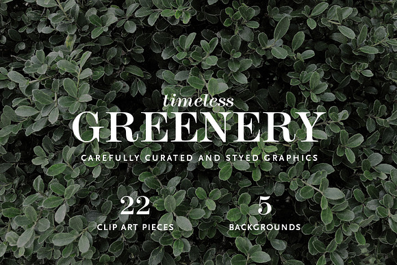 Timeless Greenery – Crafted Clip Art in Illustrations - product preview 1