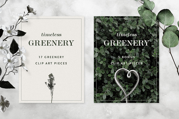 Timeless Greenery – Crafted Clip Art in Illustrations - product preview 2