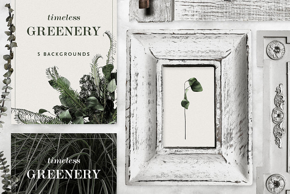 Timeless Greenery – Crafted Clip Art in Illustrations - product preview 3