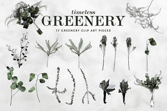 Timeless Greenery – Crafted Clip Art in Illustrations - product preview 4