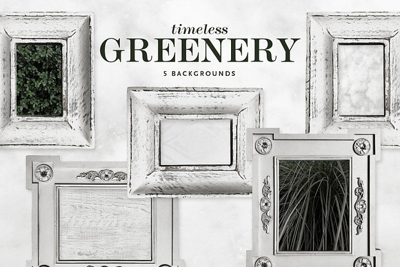 Timeless Greenery – Crafted Clip Art in Illustrations - product preview 6