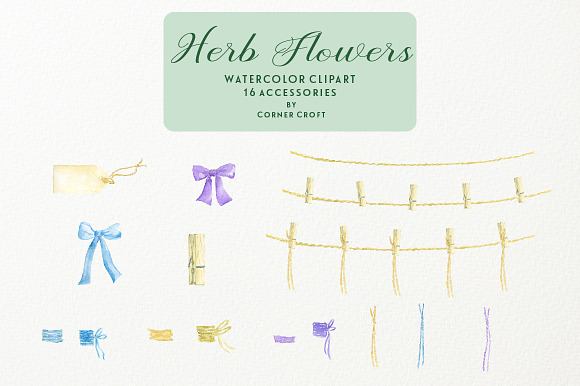 Watercolor Herb Flower Clipart in Illustrations - product preview 3