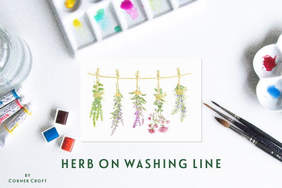 Watercolor Herb Flower Clipart in Illustrations - product preview 7