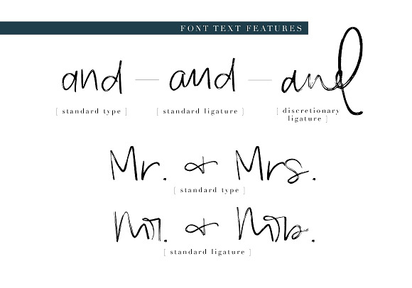 Handwritten Font Bundle in Hand-lettered Fonts - product preview 13