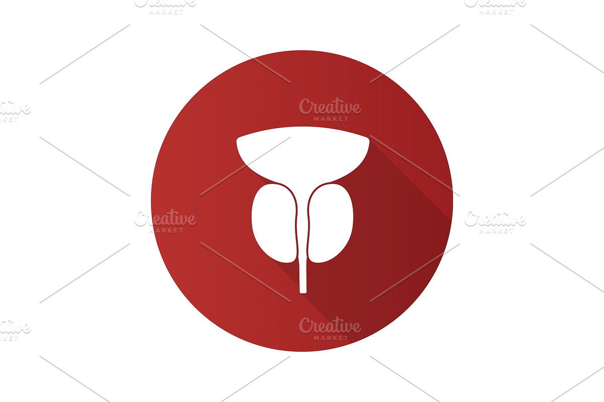 Prostate gland and urethra icon in Graphics - product preview 8