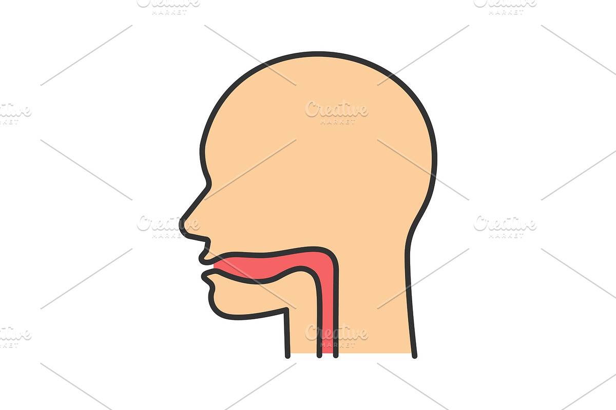 Oral cavity and esophagus icon in Graphics - product preview 8