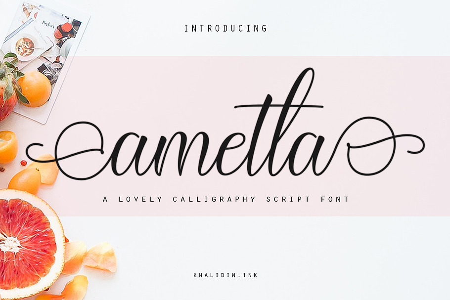 ametta Script Font in Script Fonts - product preview 8
