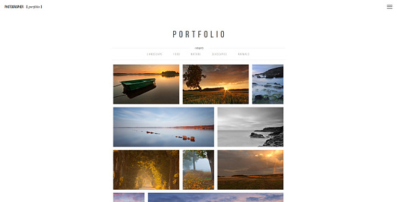 Prime Photographer Theme in HTML/CSS Themes - product preview 1