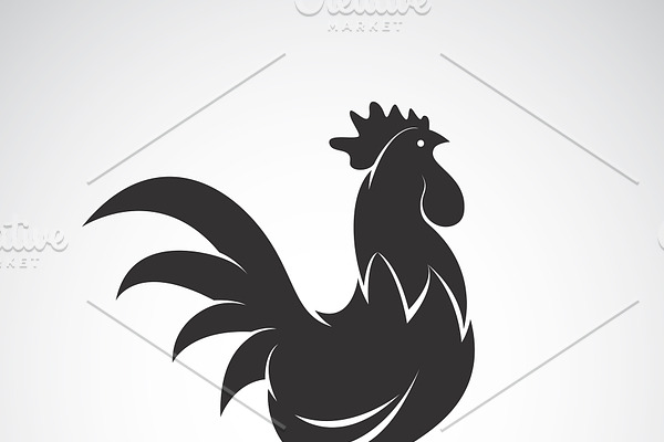 Vector of a cock on white background