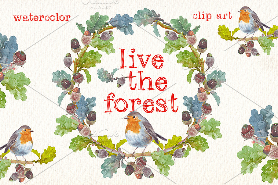 live the forest watercolor clipart