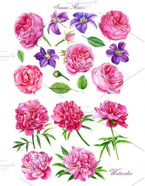 Summer flowers watercolor in Illustrations - product preview 1