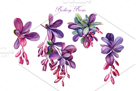 Summer flowers watercolor in Illustrations - product preview 3