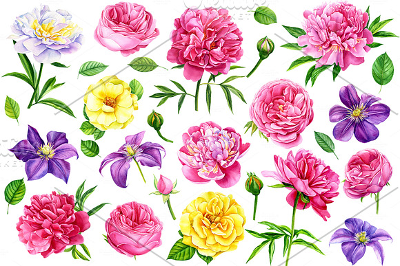 Summer flowers watercolor in Illustrations - product preview 5