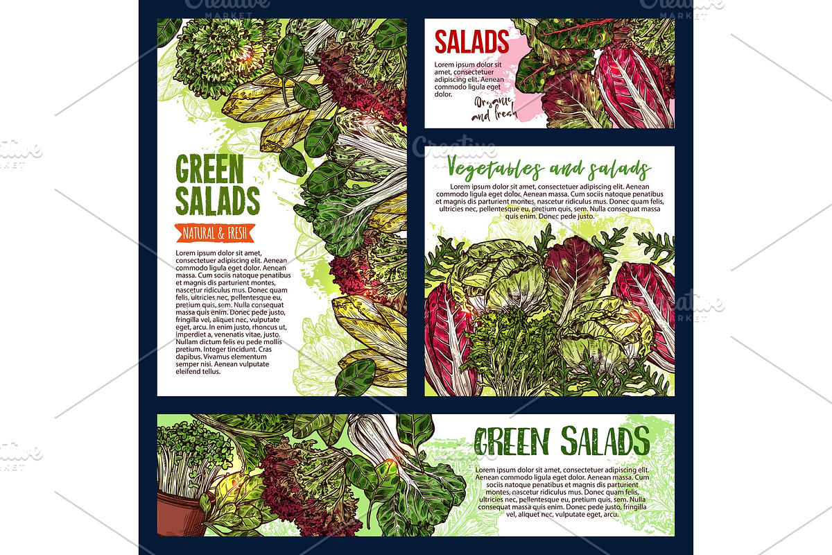 Salad leaf and vegetable banners in Illustrations - product preview 8