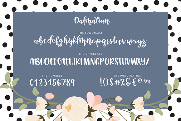 Dalmatian Script Font in Script Fonts - product preview 1
