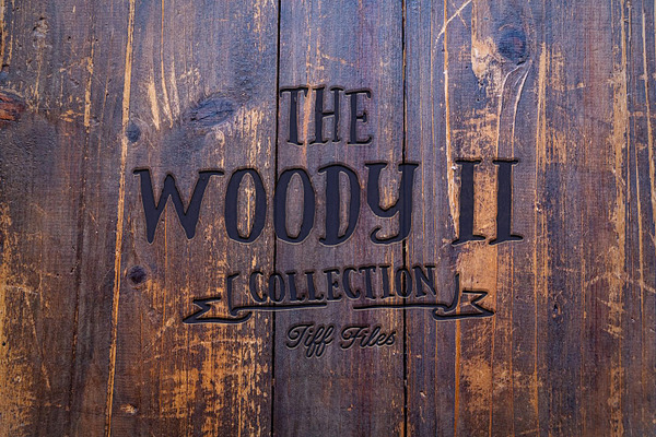 The Woody II - 101 wood textures