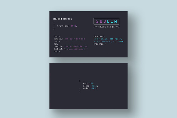 Coder / Developer Business Cards in Business Card Templates - product preview 3