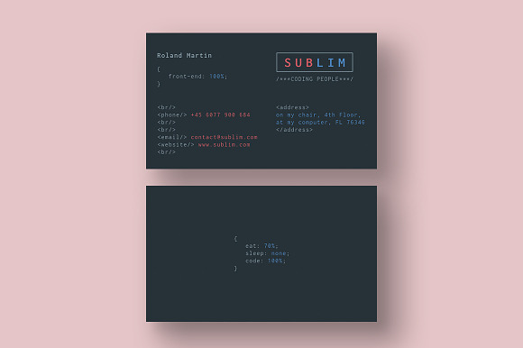 Coder / Developer Business Cards in Business Card Templates - product preview 4