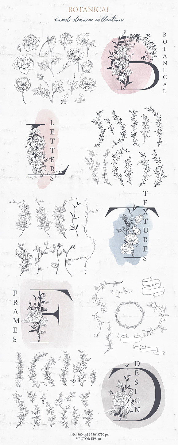 Rich Botanicals & Monograms in Illustrations - product preview 10