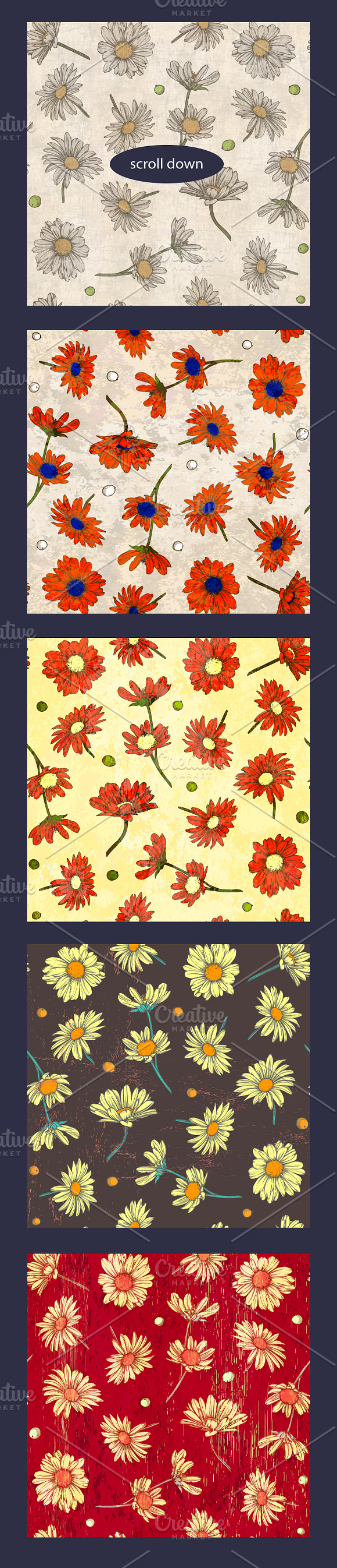 20 Retro patterns with chamomile in Patterns - product preview 2