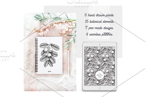 Myrtle Plants Collection in Illustrations - product preview 1