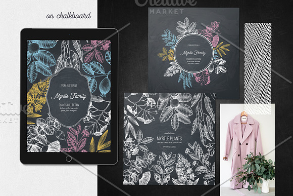 Myrtle Plants Collection in Illustrations - product preview 6