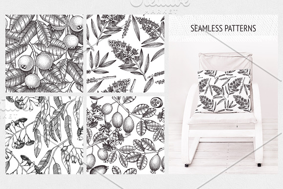 Myrtle Plants Collection in Illustrations - product preview 7