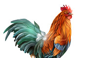 Classic fairy tales rooster