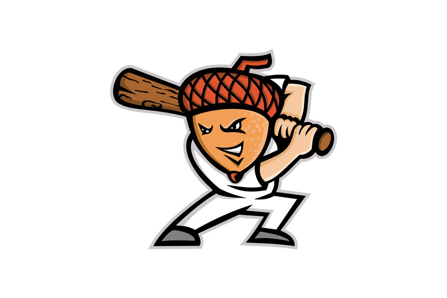 Acorn Baseball Mascot