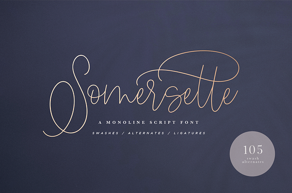 Somersette Script Font  in Website Fonts - product preview 8