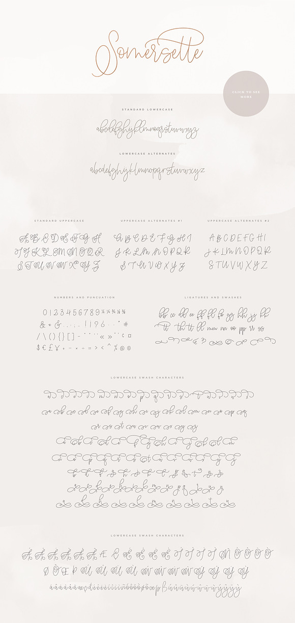 Somersette Script Font  in Website Fonts - product preview 10