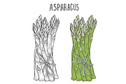 Hand drawn asparagus.