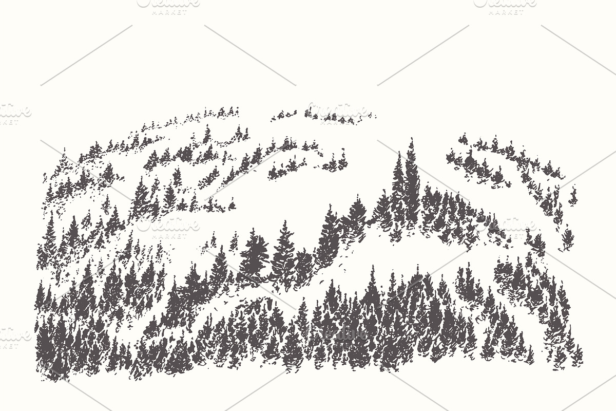 Collection of forest landscapes in Illustrations - product preview 8