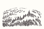Collection of forest landscapes