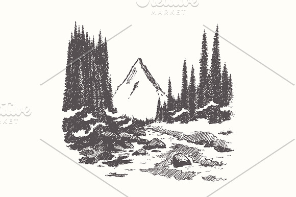 Collection of forest landscapes in Illustrations - product preview 1
