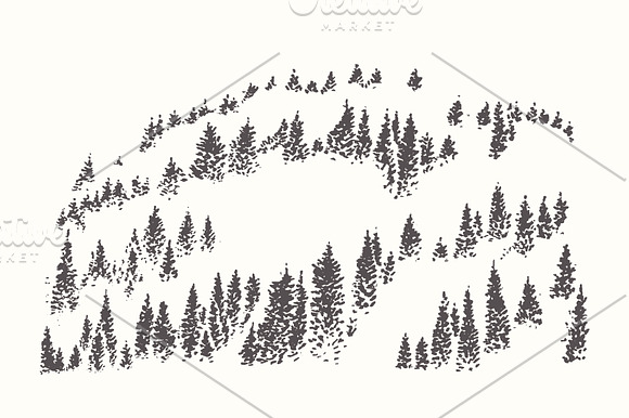 Collection of forest landscapes in Illustrations - product preview 2