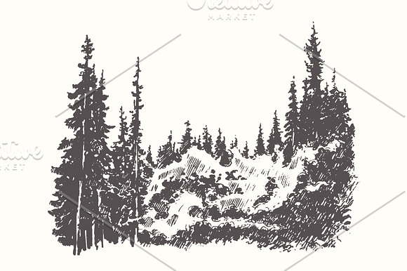Collection of forest landscapes in Illustrations - product preview 3