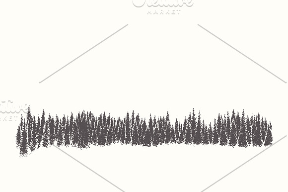Collection of forest landscapes in Illustrations - product preview 4