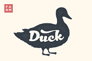 Duck. Lettering, typography