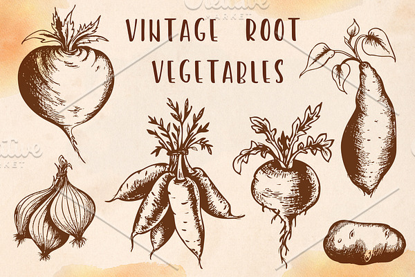 Vintage vector vegetables