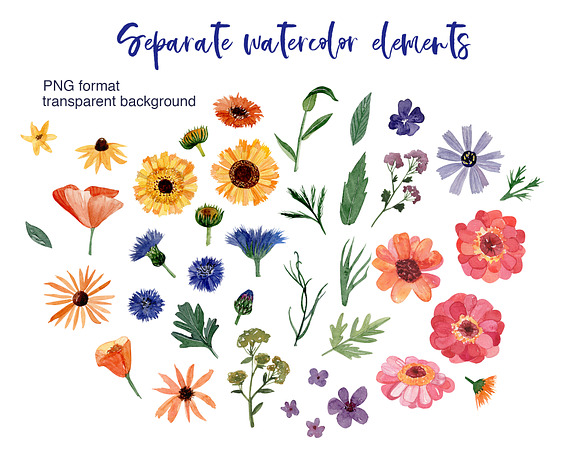 Summer Flowers watercolor set in Illustrations - product preview 7