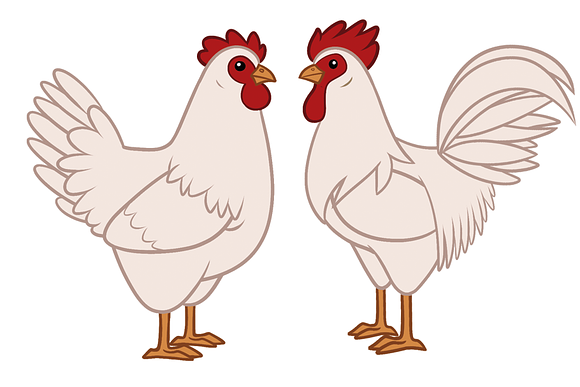 5 Chicken breeds clip art set in Illustrations - product preview 2