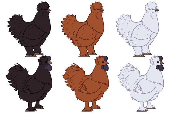 5 Chicken breeds clip art set in Illustrations - product preview 7