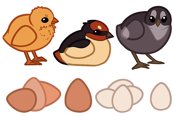 5 Chicken breeds clip art set in Illustrations - product preview 8