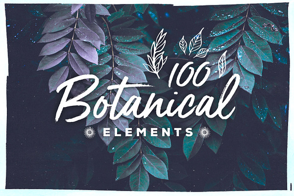 100 Handsketched Botanical Elements