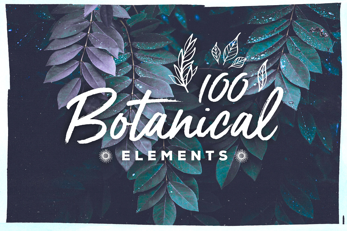 100 Handsketched Botanical Elements in Objects - product preview 8